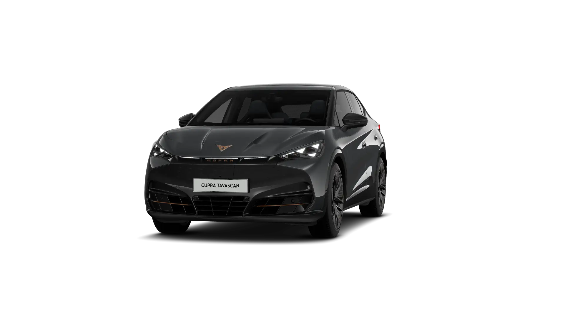 CUPRA Tavascan Endurance Extreme 286pk (210kW) v 77 kWh Rear Wheel Drive