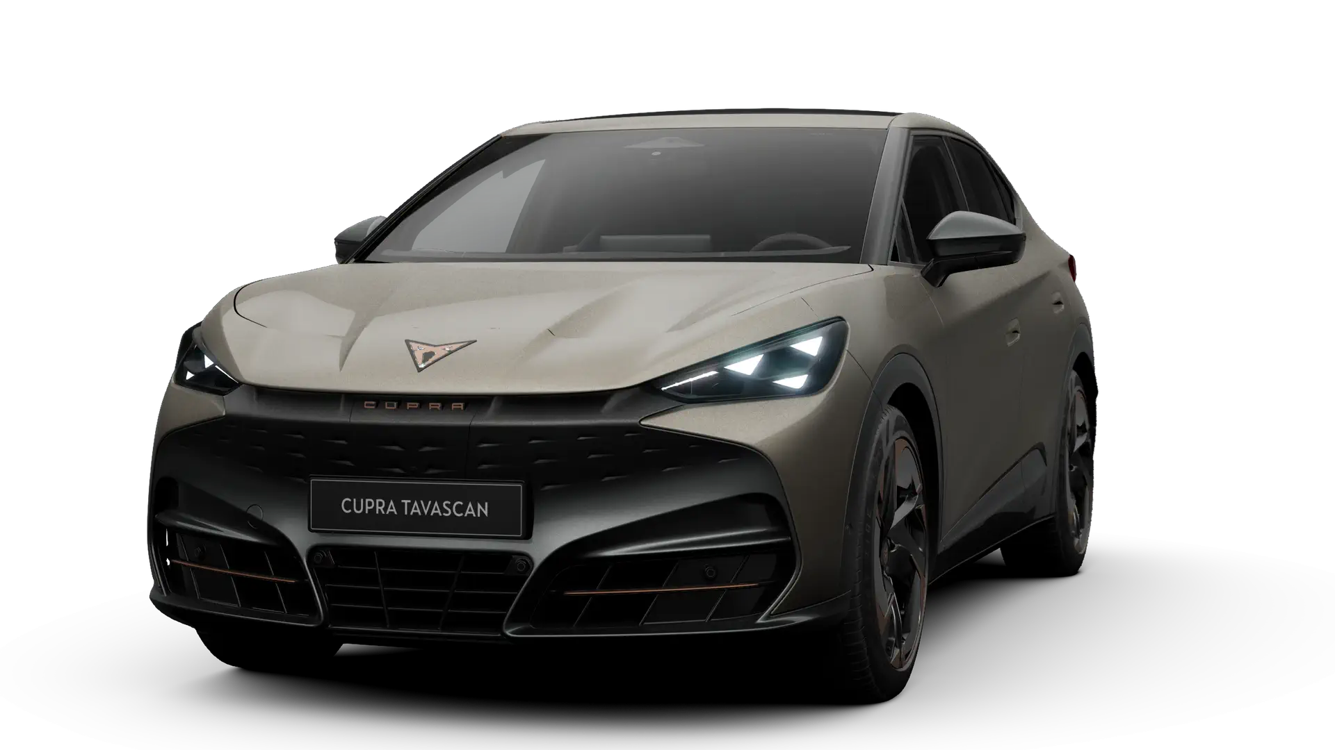 CUPRA Tavascan Endurance Corporate Plus 286pk (210kW) 1v 77 kWh Rear Wheel Drive