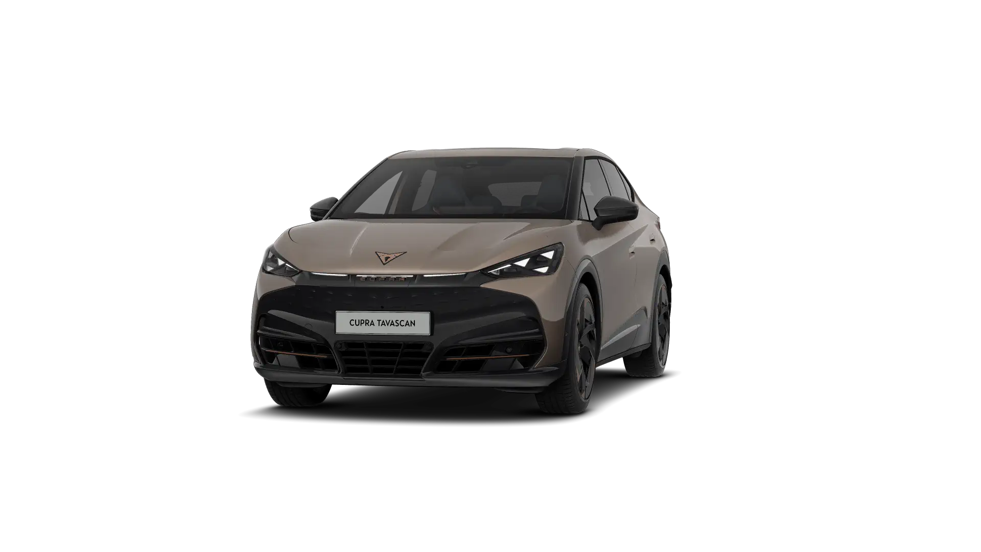 CUPRA Tavascan Endurance Corporate Plus 286pk (210kW) v 77 kWh Rear Wheel Drive