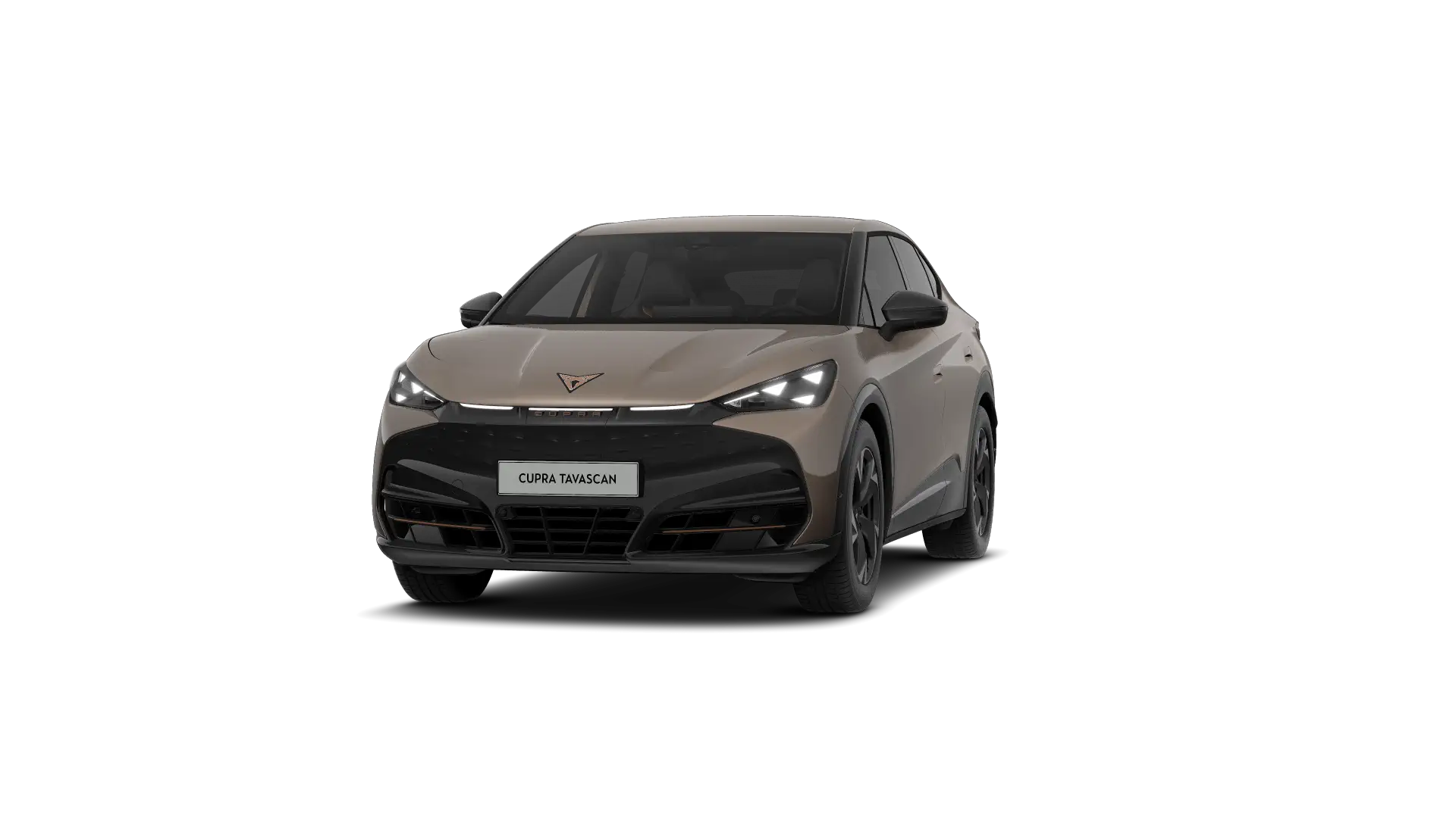 CUPRA Tavascan Endurance Corporate 286pk (210kW) v 77 kWh Rear Wheel Drive