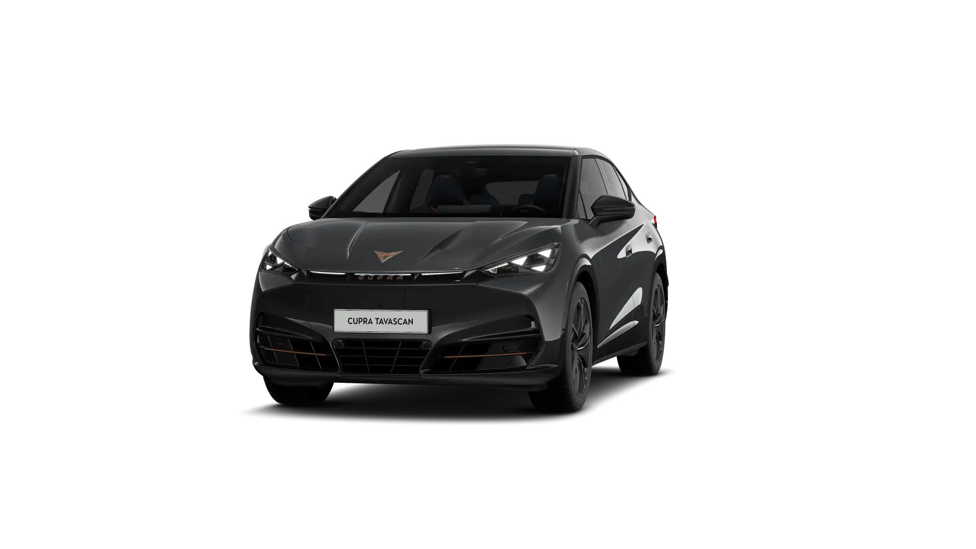 CUPRA Tavascan Endurance Corporate Plus 286pk (210kW) v 77 kWh Rear Wheel Drive