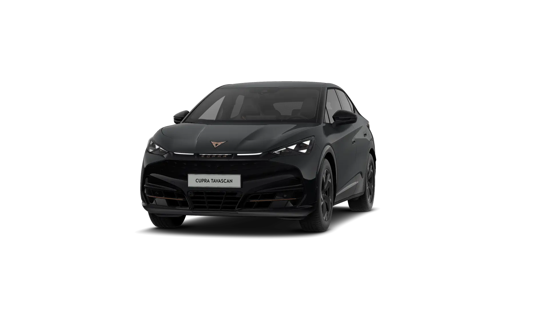 CUPRA Tavascan Endurance Corporate Light 286pk (210kW) v 77 kWh Rear Wheel Drive