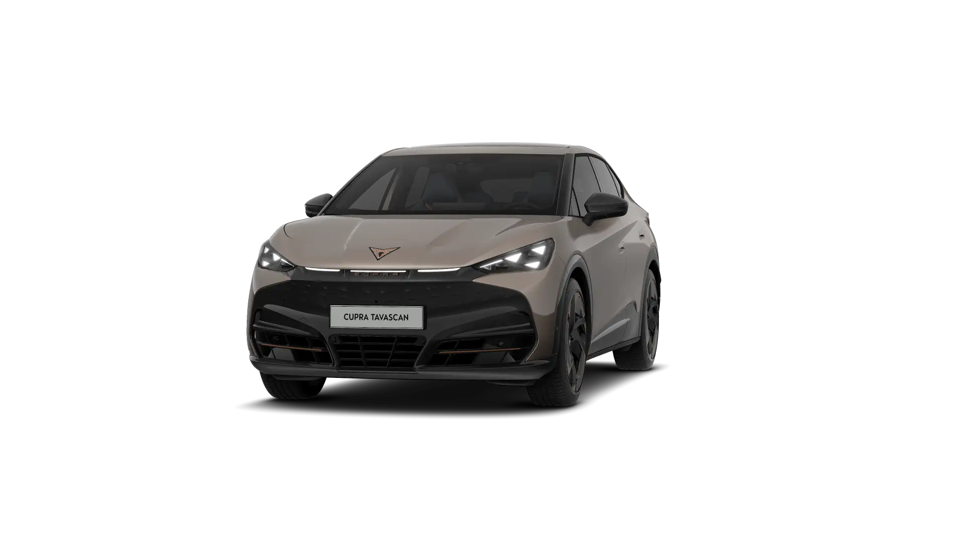 CUPRA Tavascan Endurance Corporate Plus 286pk (210kW) v 77 kWh Rear Wheel Drive