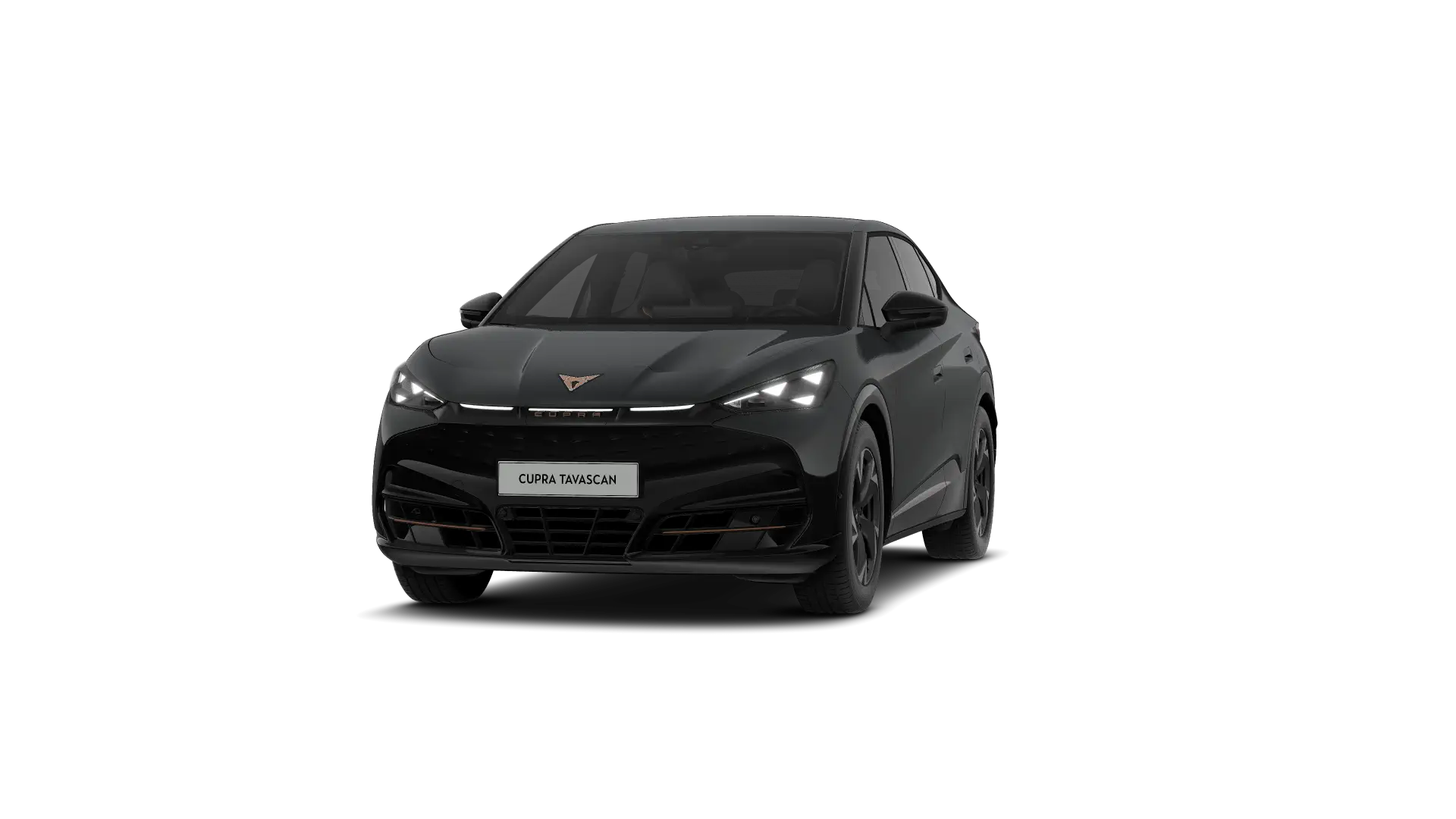 CUPRA Tavascan Endurance Business 286pk (210kW) v 77 kWh Rear Wheel Drive