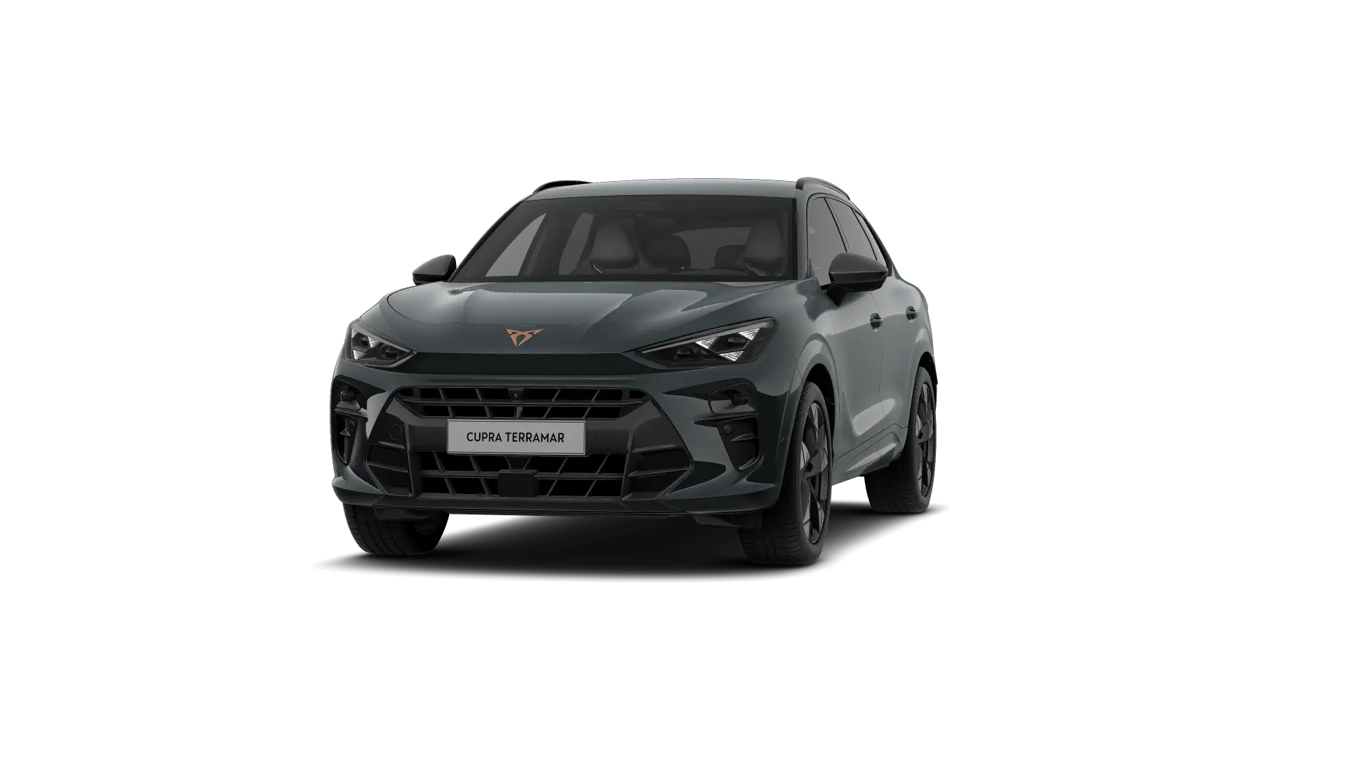 CUPRA Terramar Business Performance 1.5 eTSI 150pk (110kW) DSG7v Mild Hybrid