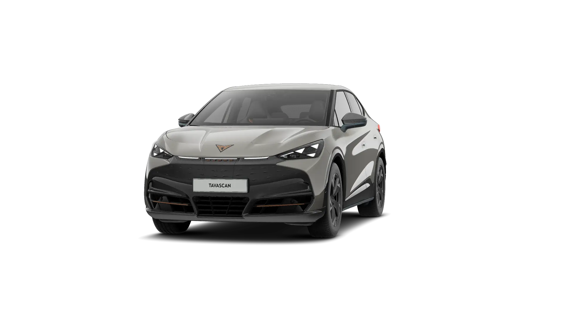 CUPRA Tavascan Endurance Business 286pk (210kW) v 77 kWh Rear Wheel Drive