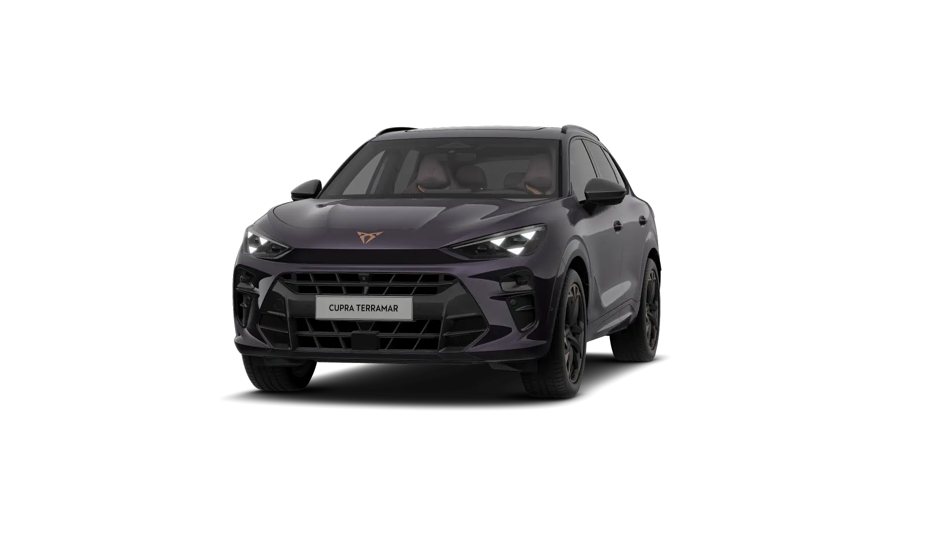CUPRA Terramar Business Performance 1.5 eTSI 150pk (110kW) DSG7v Mild Hybrid