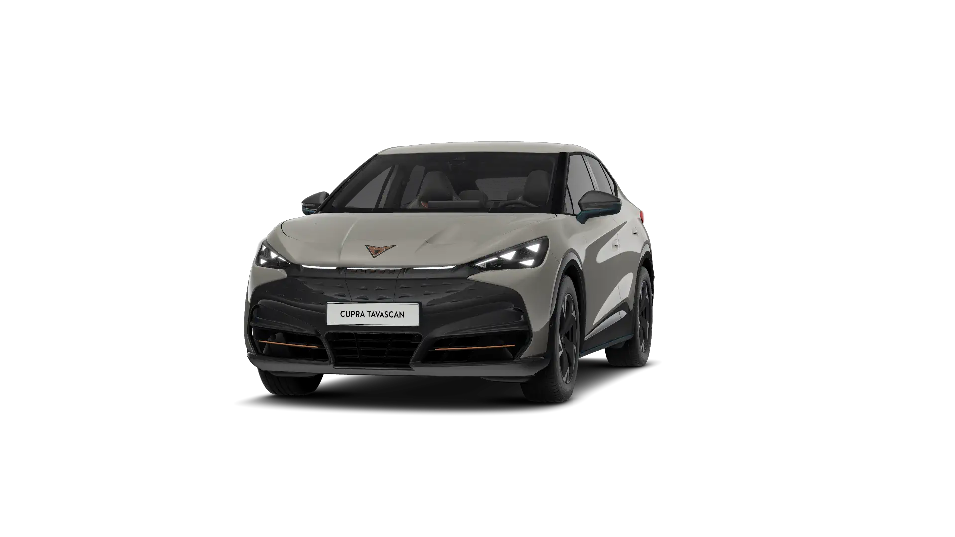 CUPRA Tavascan Endurance Business 286pk (210kW) v 77 kWh Rear Wheel Drive