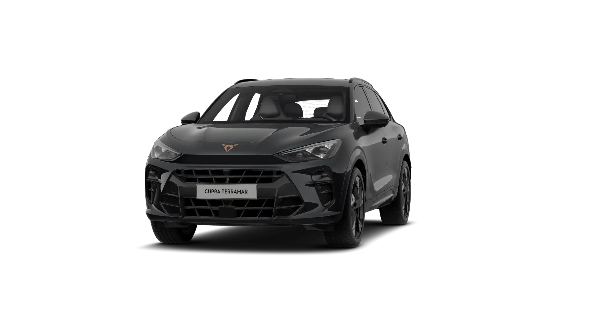 CUPRA TerramarBusiness Performance1.5eTSI150pk(110kW)DSG7vMild HybridEURO 6 EB