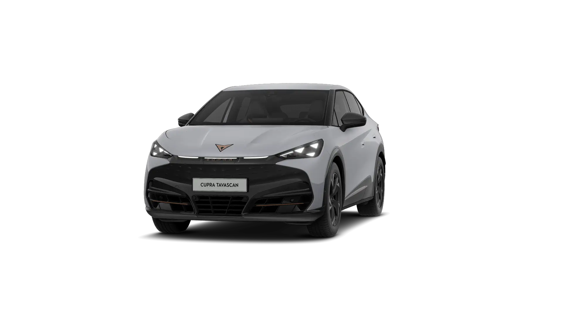 CUPRA Tavascan Endurance Corporate 286pk (210kW) v 77 kWh Rear Wheel Drive