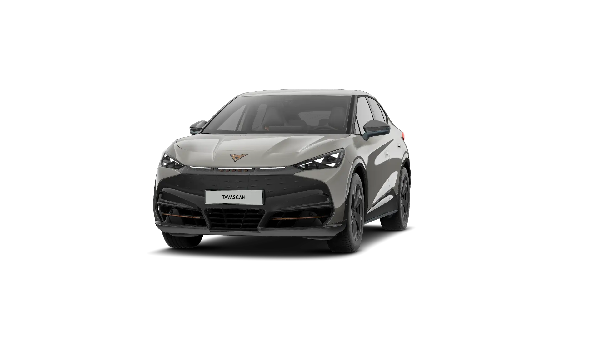 CUPRA Tavascan Endurance Corporate 286pk (210kW) v 77 kWh Rear Wheel Drive