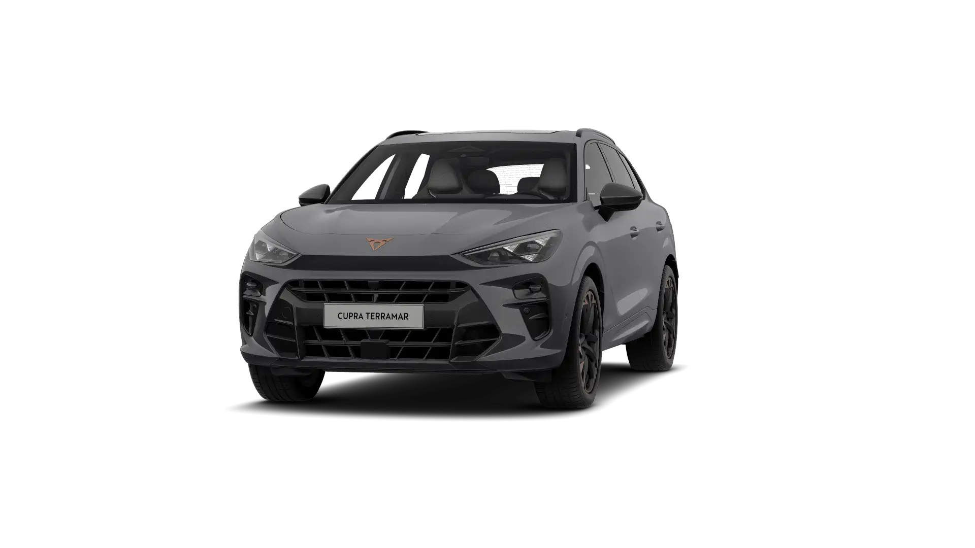 CUPRA Terramar Business Performance 1.5 eTSI 150pk (110kW) DSG 7v Mild Hybrid