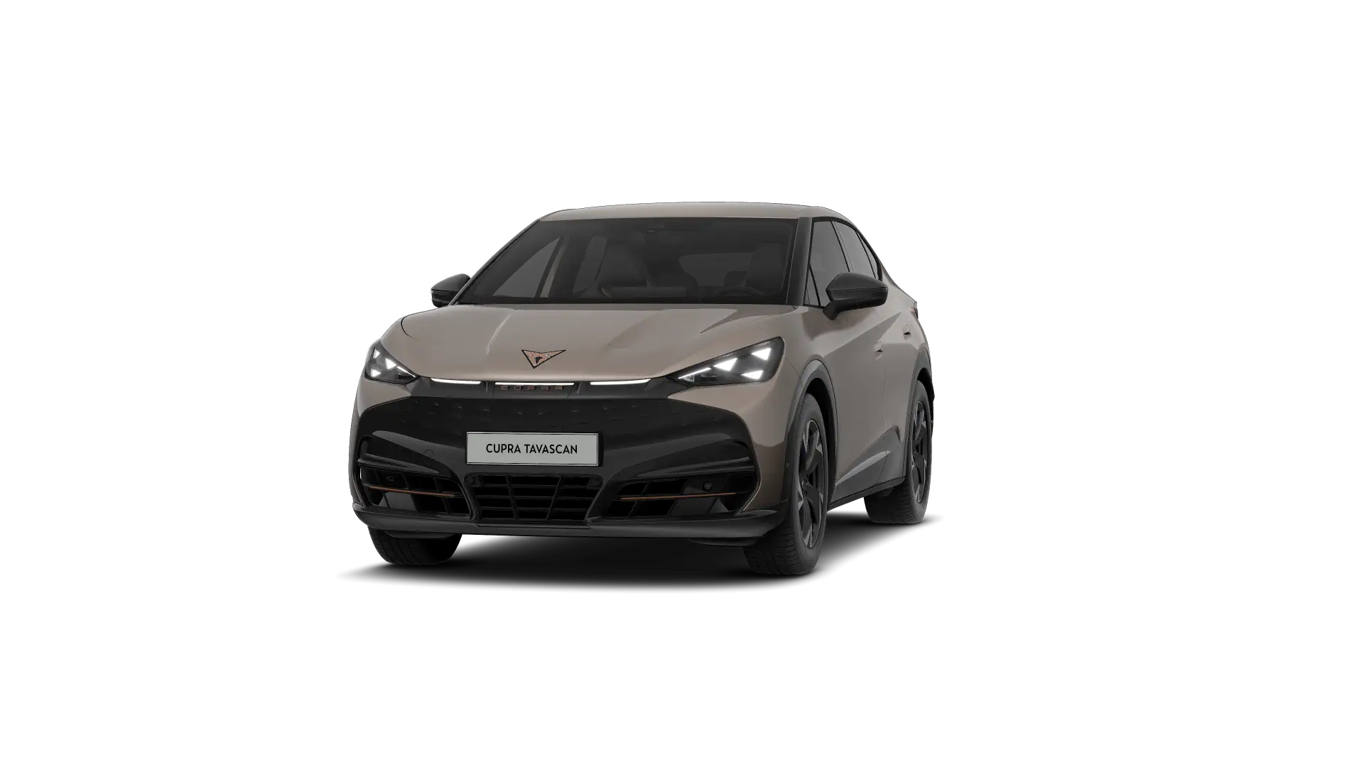 CUPRA Tavascan Endurance Corporate 286pk (210kW) v 77 kWh Rear Wheel Drive