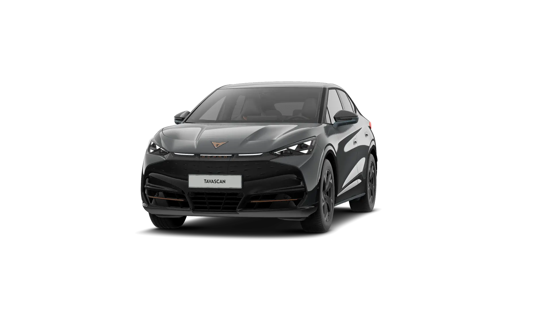 CUPRA Tavascan Endurance Business 286pk (210kW) v 77 kWh Rear Wheel Drive