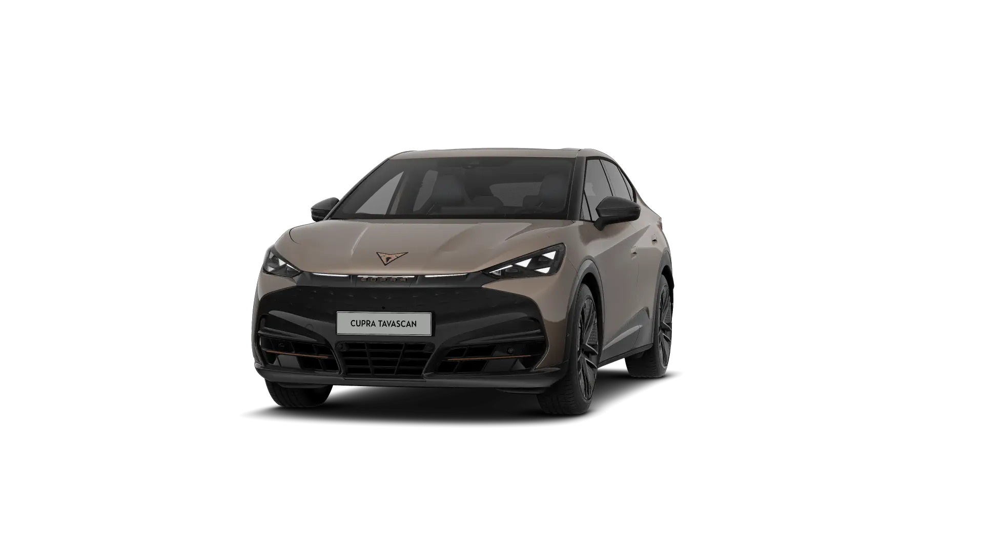 CUPRA Tavascan Endurance Extreme 286pk (210kW) v 77 kWh Rear Wheel Drive