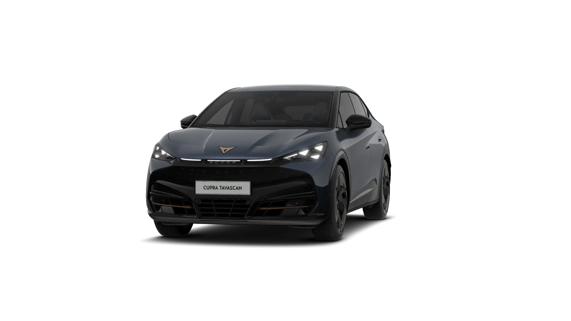 CUPRA Tavascan Endurance Corporate Plus 286pk (210kW) v 77 kWh Rear Wheel Drive