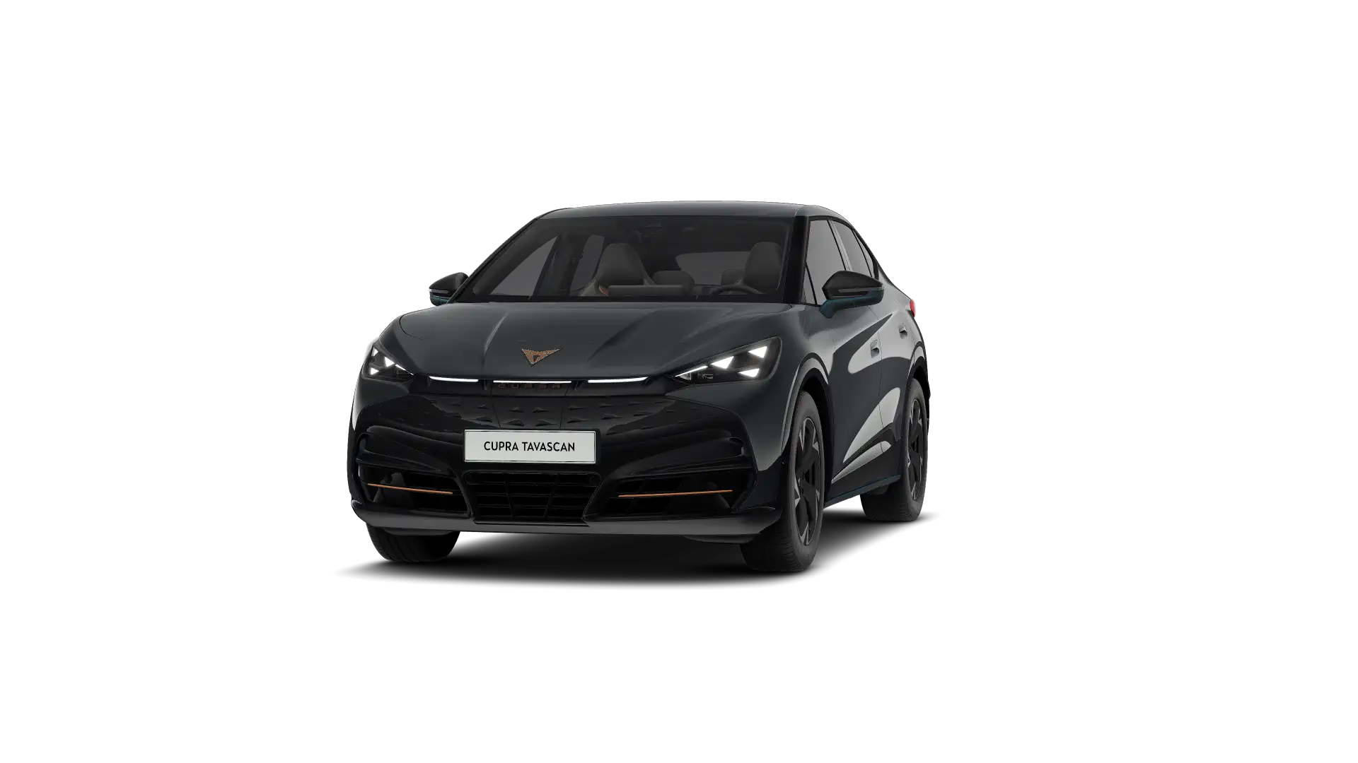 CUPRA Tavascan Endurance Corporate Light 286pk (210kW) v 77 kWh Rear Wheel Drive