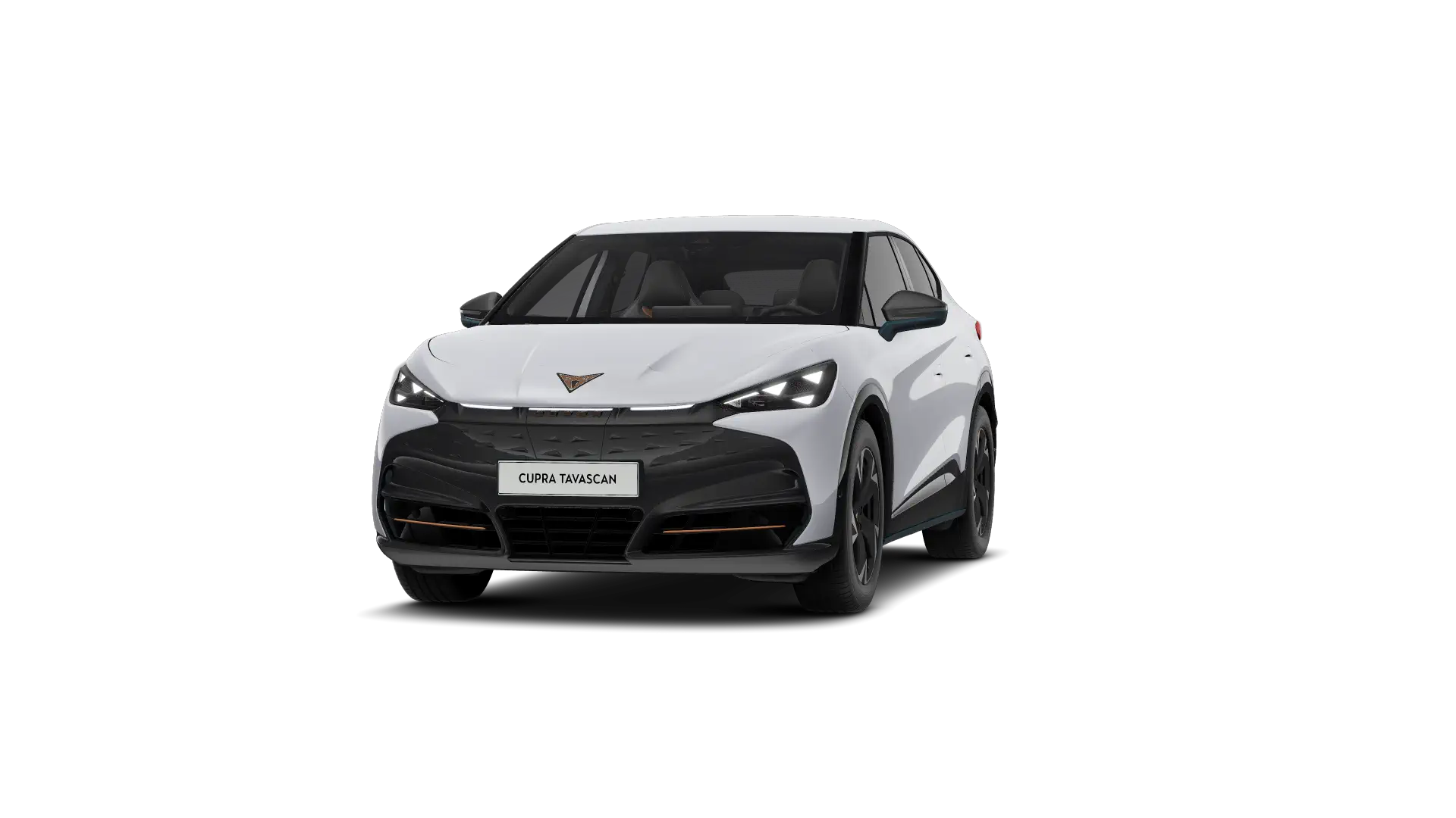 CUPRA Tavascan Endurance Corporate 286pk (210kW) v 77 kWh Rear Wheel Drive