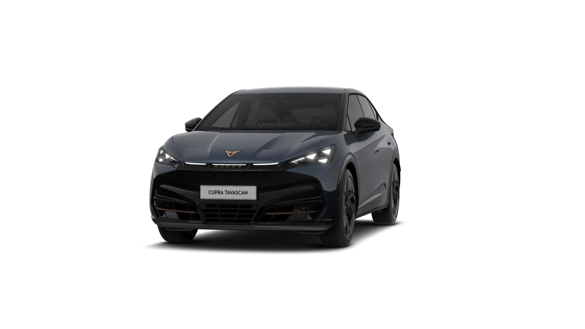CUPRA Tavascan Endurance Corporate Plus 286pk (210kW) v 77 kWh Rear Wheel Drive