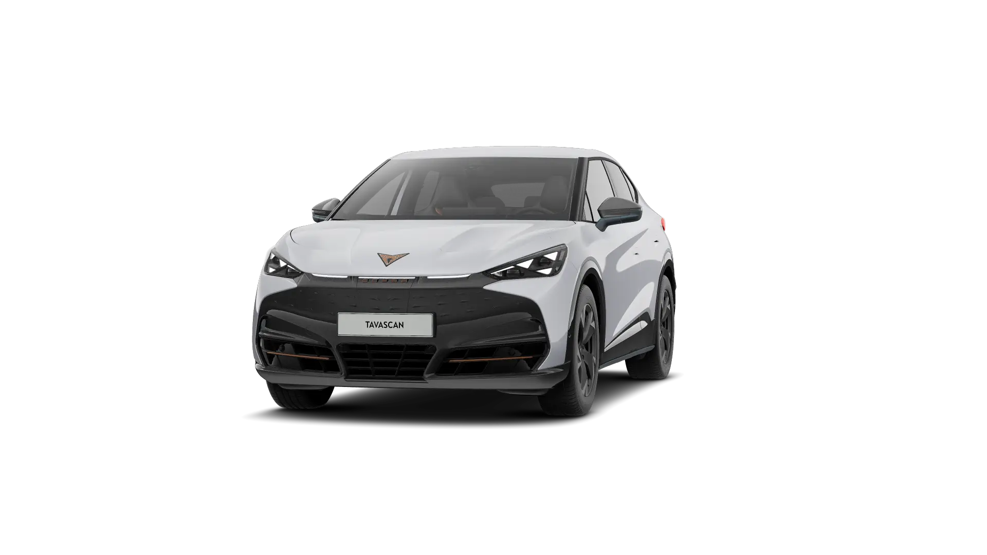 CUPRA Tavascan Endurance Corporate 286pk (210kW) v 77 kWh Rear Wheel Drive