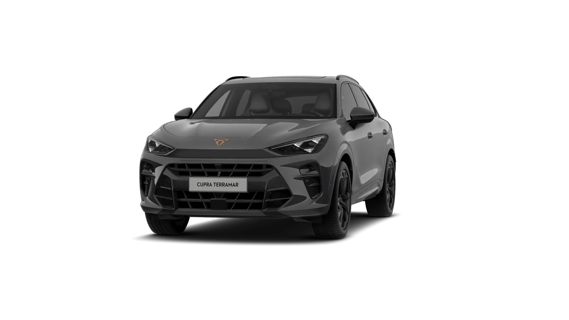 CUPRA Terramar Business Performance 1.5 eTSI 150pk (110kW) DSG 7v Mild Hybrid