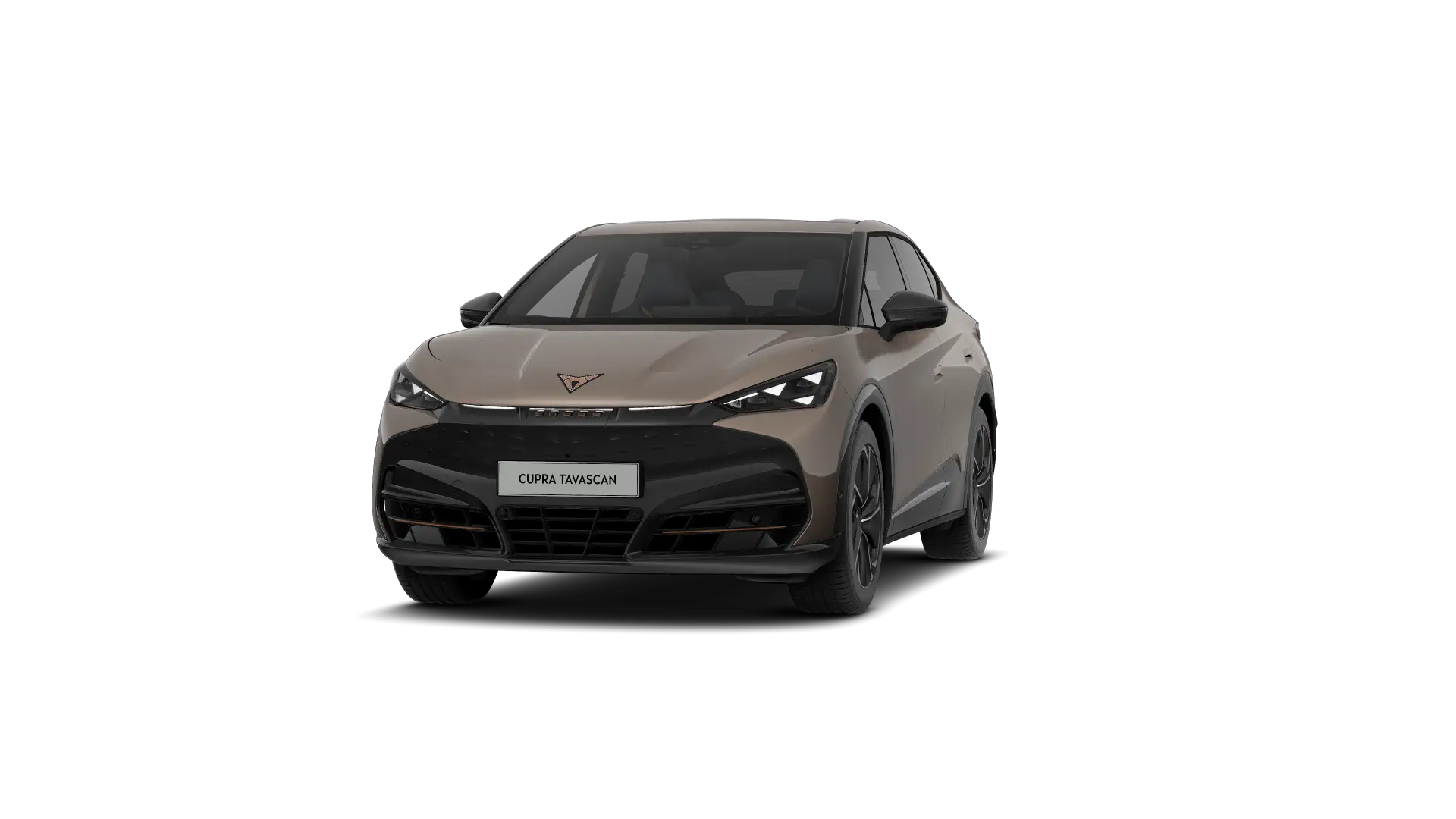 CUPRA Tavascan Endurance Adrenaline 286pk (210kW) v 77 kWh Rear Wheel Drive