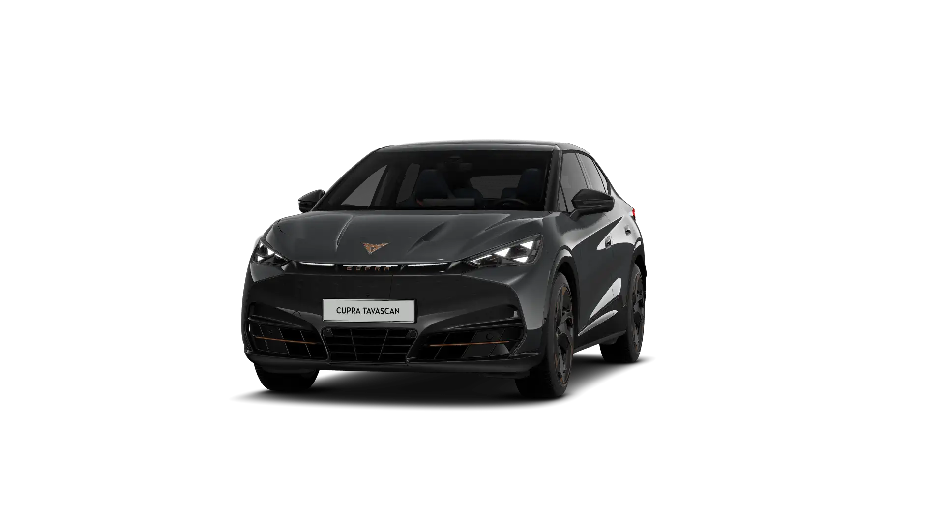 CUPRA Tavascan Endurance Adrenaline 286pk (210kW) v 77 kWh Rear Wheel Drive