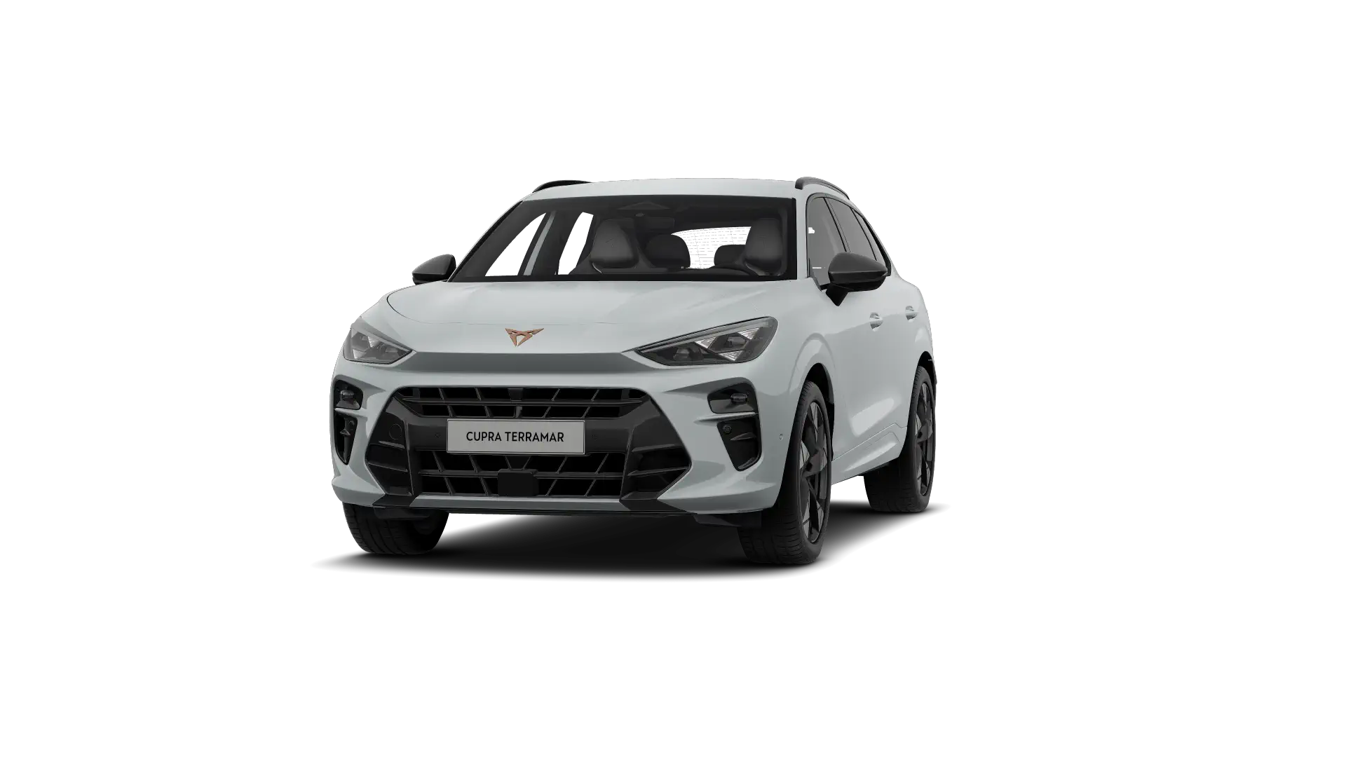 CUPRA Terramar Business Performance 1.5 eTSI 150pk (110kW) DSG 7v Mild Hybrid