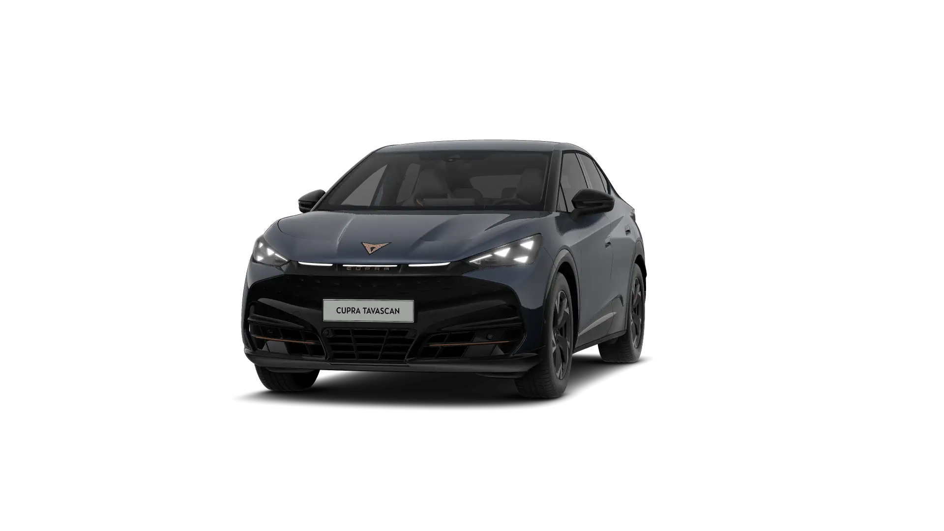 CUPRA Tavascan Endurance Corporate 286pk (210kW) v 77 kWh Rear Wheel Drive